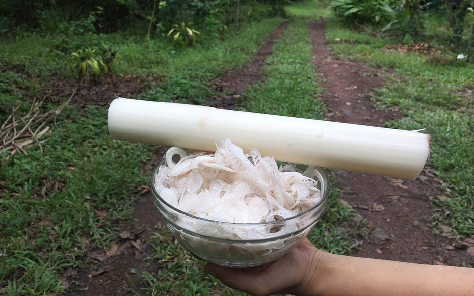 Nhật Bản đánh giá "rau trường thọ", hóa ra là rau quen thuộc ở Việt Nam
