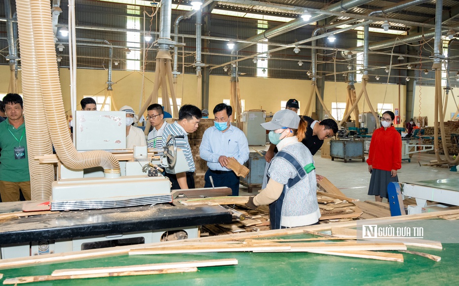 Ngành gỗ Việt Nam phải hình thành chuỗi giá trị bền vững