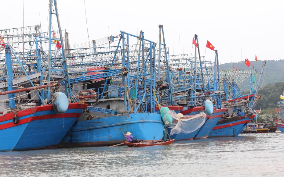 Triển khai đồng bộ các biện pháp chống khai thác thủy sản IUU