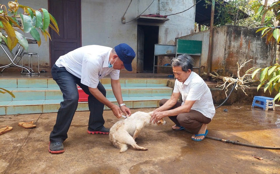 Phát hiện nhiều ổ dịch bệnh dại, Đắk Lắk tăng tốc phủ vắc-xin cho vật nuôi