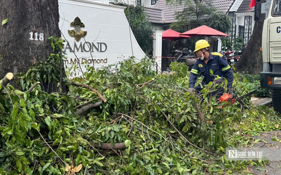 Tp.HCM: Cắt tỉa cây xanh, giải quyết điểm ngập, đảm bảo an toàn cho người dân