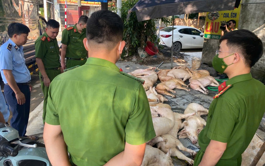 Mở đợt cao điểm đấu tranh, ngăn chặn buôn lậu, hàng giả trên toàn quốc từ ngày 15/5 đến 15/6
