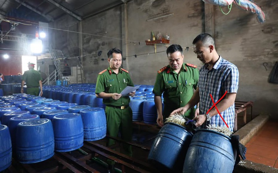 Khởi tố chủ cơ sở đã bán hơn 60 tấn giá đỗ ngâm chất kích thích tăng trưởng ra thị trường