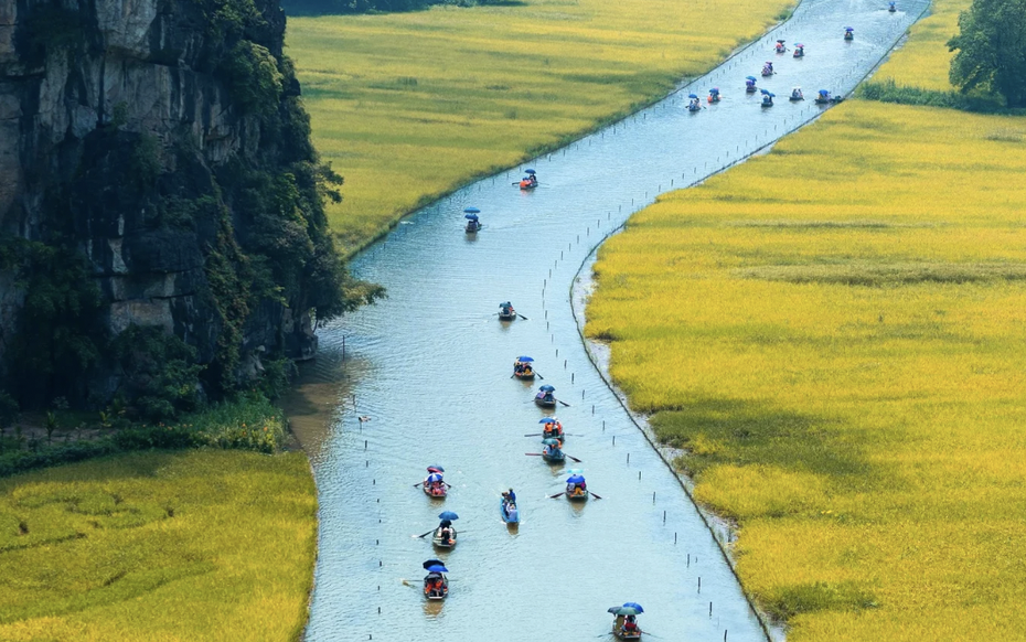 Dòng sông Ngô Đồng phủ sắc vàng chào đón Tuần du lịch Ninh Bình 2025