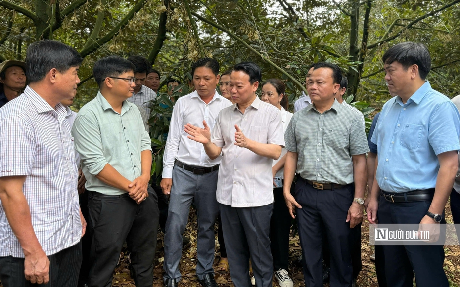 Xuất khẩu sầu riêng lao dốc, Bộ trưởng yêu cầu “chung thủy” với chuỗi liên kết