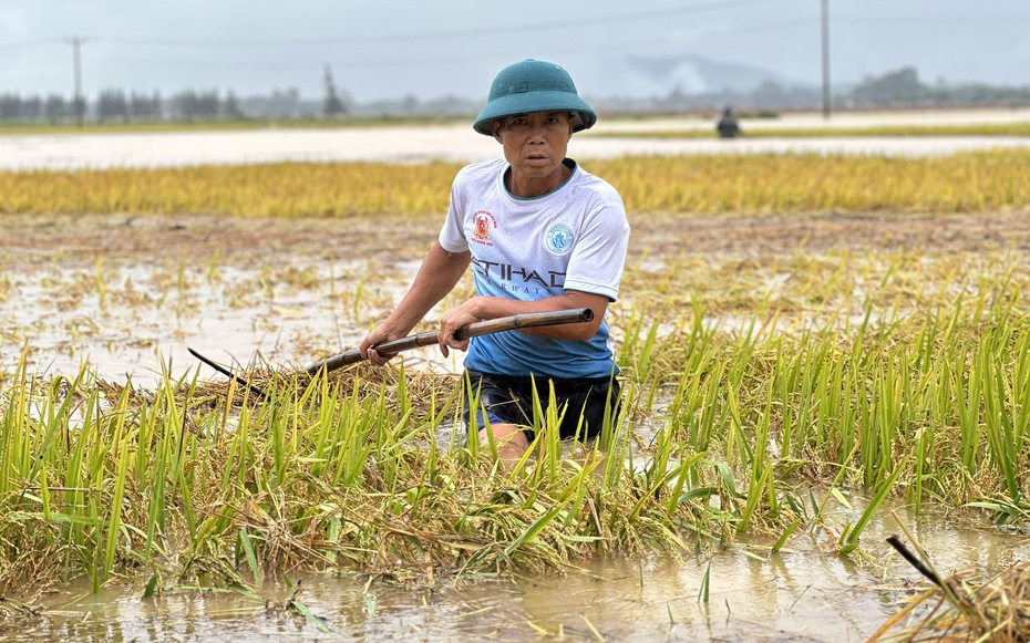 Hà Tĩnh: Hàng nghìn tấn lúa thiệt hại do lũ dâng