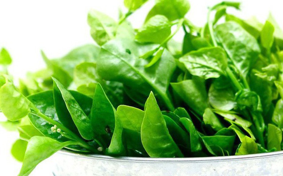 "4 không" khi ăn rau mồng tơi, biết mà tránh kẻo hối hận