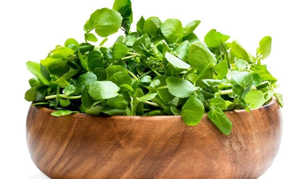 2 loại rau người Việt thích mê dễ là "ổ sán", nhất là cái số 1
