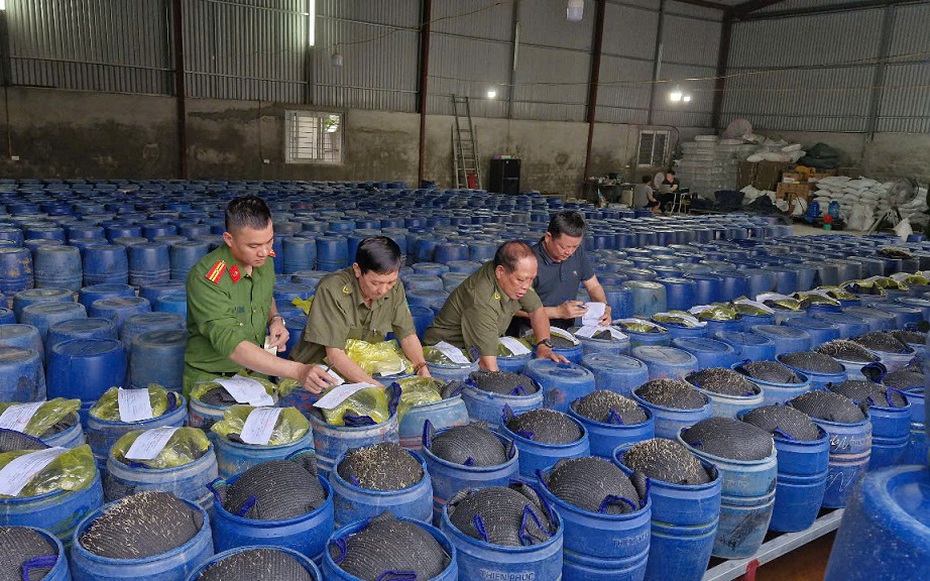 Nghệ An quyết liệt ngăn chặn buôn lậu, gian lận thương mại và hàng giả