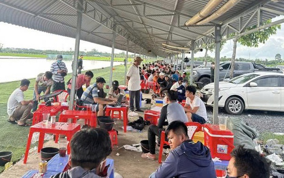 Thủ đoạn tinh vi của nhóm đối tượng biến hồ câu thành nơi sát phạt đỏ đen, livestream quảng bá mỗi ngày