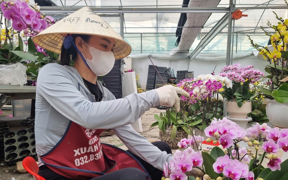 Quảng Ninh đi đầu xây dựng NTM và giảm nghèo