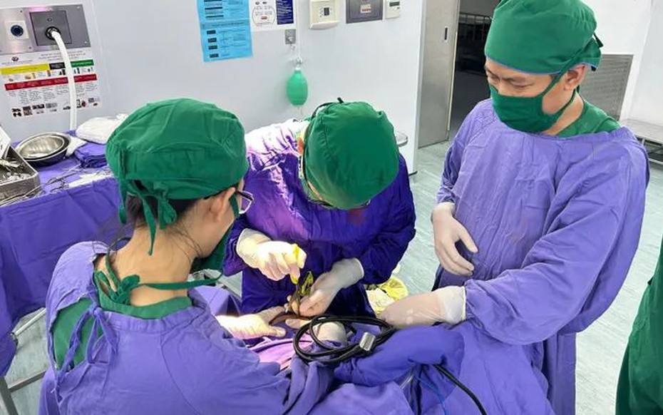 Người phụ nữ 25 tuổi bị kéo nhọn găm vào đầu
