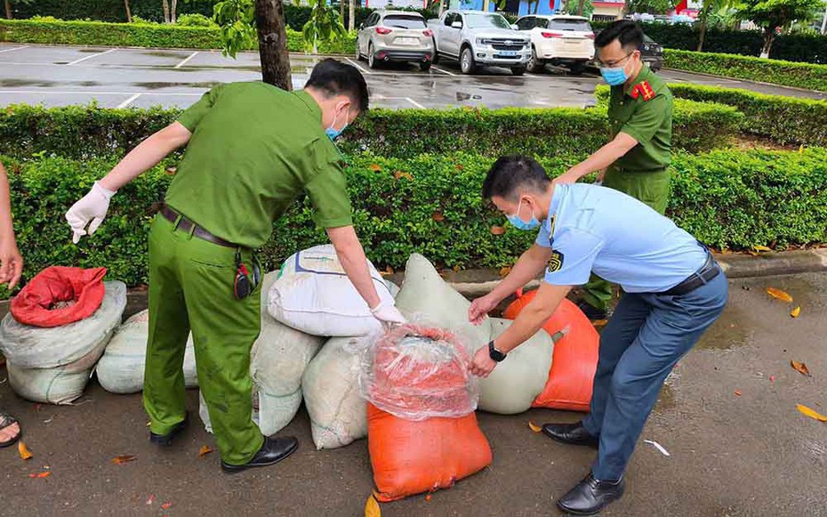 Phát hiện xe khách vận chuyển gần 1 tấn nội tạng động vật đang bốc mùi về Hà Nội tiêu thụ