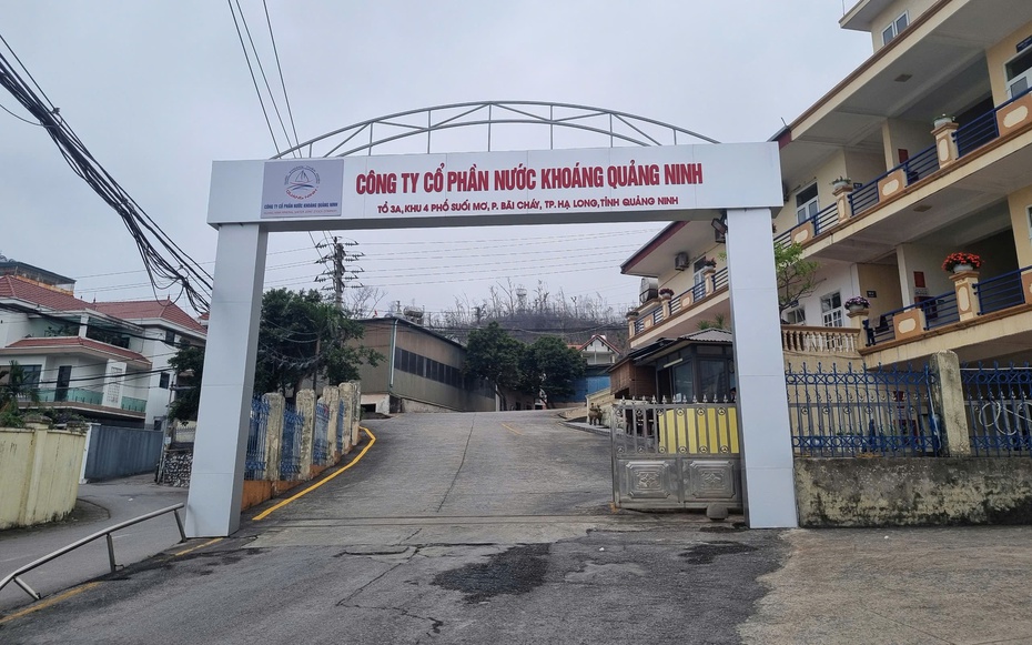 Thành viên "họ" Masan tại Quảng Ninh làm ăn ra sao?