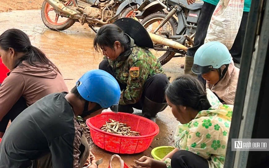 Kiếm tiền triệu mỗi ngày nhờ “lộc trời”