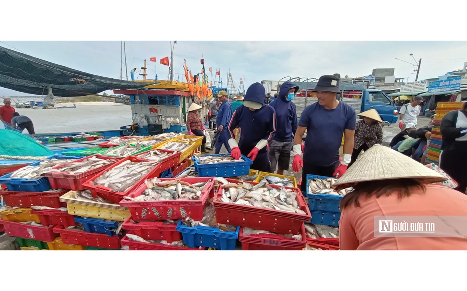 Gỡ “nút thắt” quy hoạch và hạ tầng để thủy sản Bà Rịa - Vũng Tàu bứt tốc