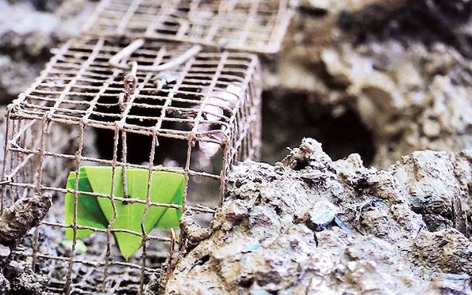 Đặc sản có tên vô cùng lạ, xưa ít người ăn nay dân phố thích mê, 90.000 đồng/kg