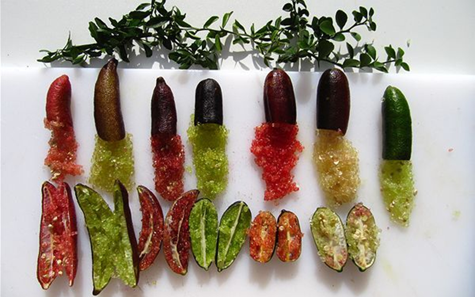 Loại quả bé như ngón tay "đắt nhất thế giới", giá lên tới 3 triệu đồng/kg