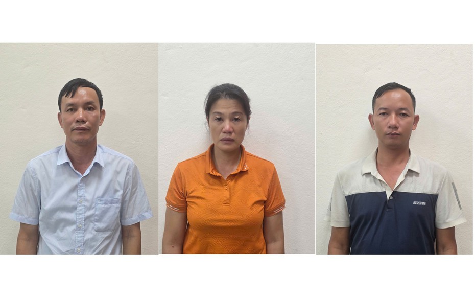 Khởi tố giám đốc công ty lâm nghiệp vi phạm khai thác rừng