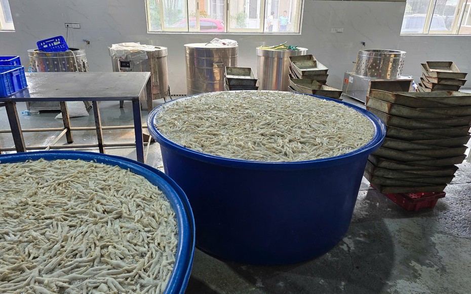 Phát hiện hàng tấn chân gà ngâm hóa chất trong kho đông lạnh chuẩn bị đưa ra thị trường