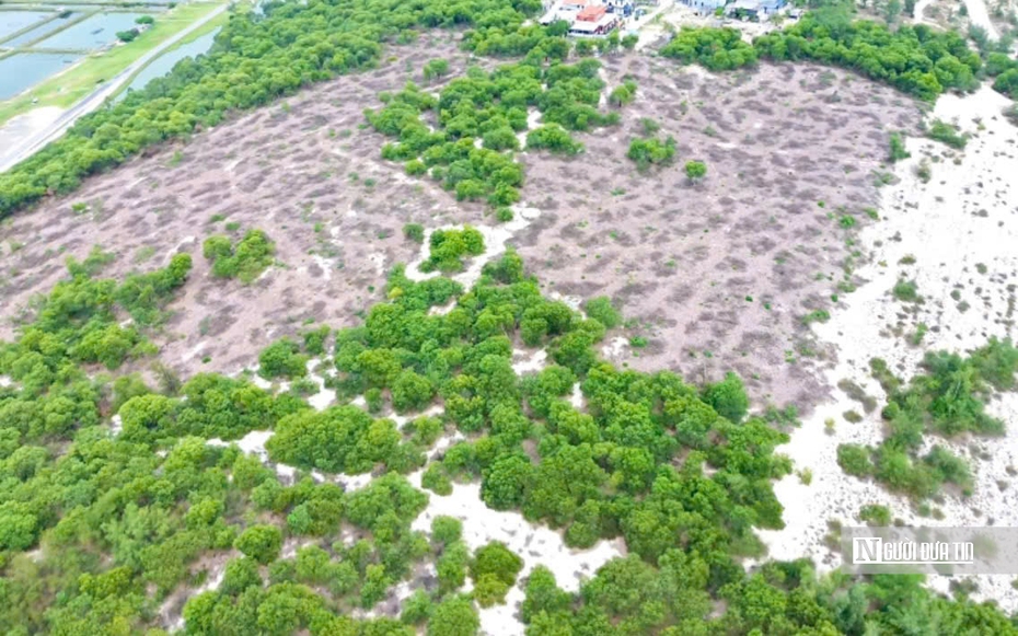 Vụ hơn 2,5ha rừng phòng hộ bị cưa hạ: Người mua chuyển tiền vào tài khoản lãnh đạo xã