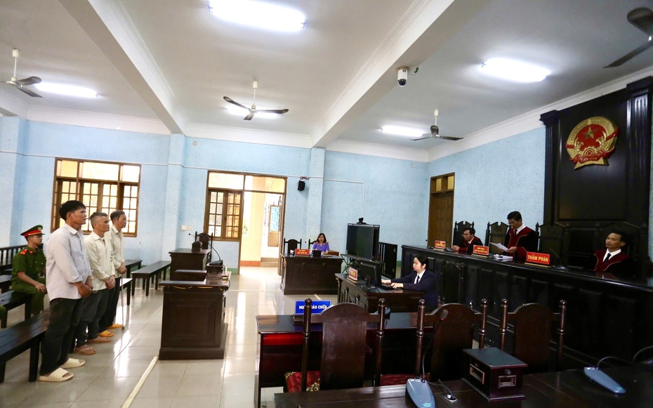 Tuyên án chủ tịch một công ty trồng rừng có hành vi phá rừng