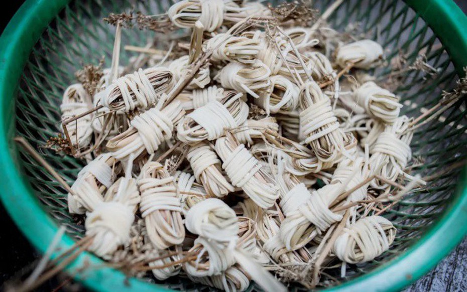 Loại cây dại xưa chỉ để bện dép, ai tinh mắt hái đem bán 500.000 đồng/kg