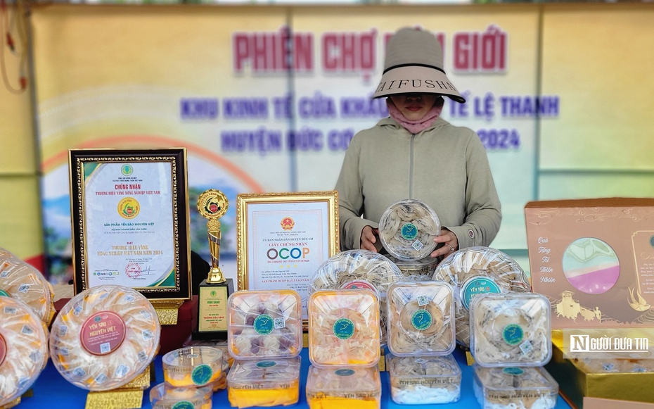 Nông dân Gia Lai thu tiền tỷ mỗi năm nhờ “vàng trắng”