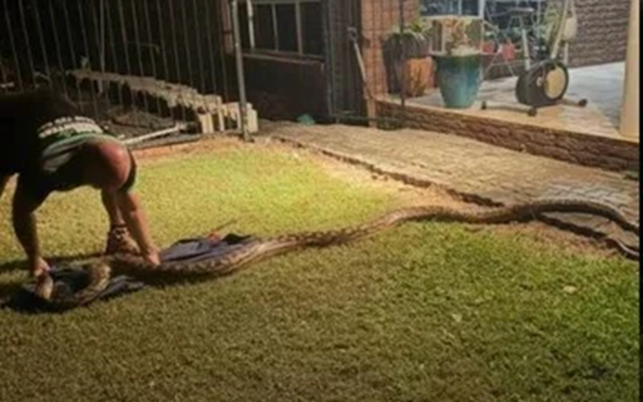 Nhìn ra ngoài sân, người dân bắt gặp cảnh tượng đáng sợ