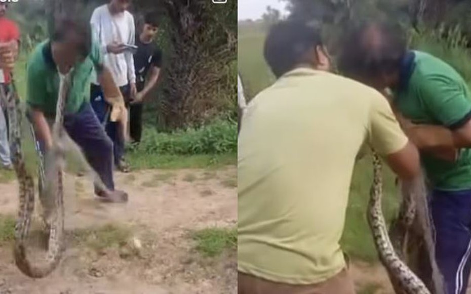 Trăn khổng lồ cắn vào má người đàn ông, bám chặt hơn 40 giây và cái kết