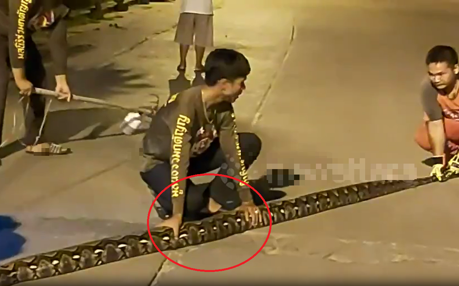 Nhìn ra sân, người dân phát hiện cảnh tượng nổi da gà