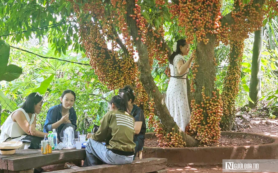Người dân đổ xô đến quán cà phê ở Huế vì “cảnh tượng kỳ lạ” này