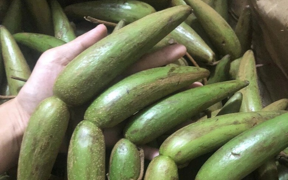 Loài cây dại "xấu xí" trước cho không ai lấy, nay đi nhặt quả bán gần 100.000 đồng/kg