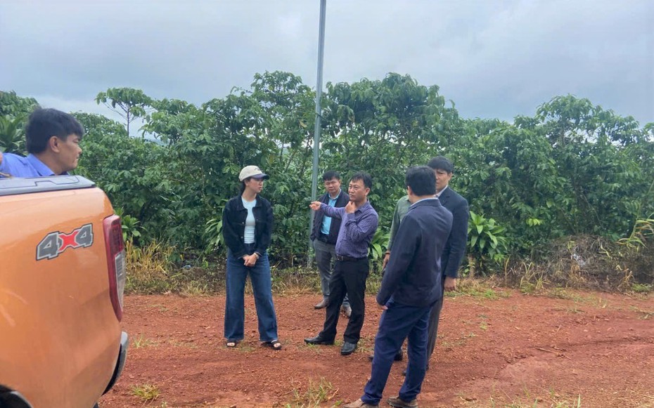Vụ hơn 5,5 ha cà phê chết cành, rụng quả bất thường ở Lâm Đồng: Cơ quan chức năng lấy mẫu phân bón đi phân tích
