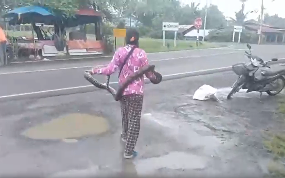 Đang đi dạo, bất ngờ thấy cảnh tượng "nổi da gà"