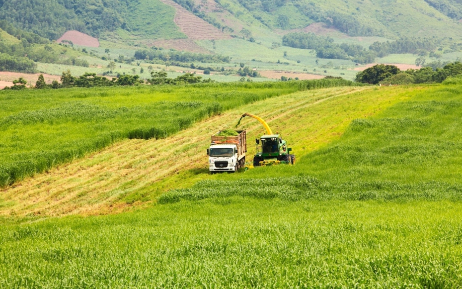 Quảng Ninh: Một nhà đầu tư đề xuất dự án 5 tỷ USD tại KCN Hải Hà