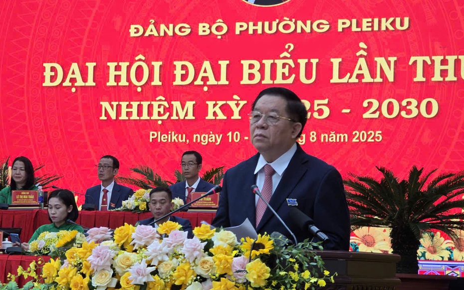 Đưa Pleiku trở thành vùng động lực của tỉnh Gia Lai mới