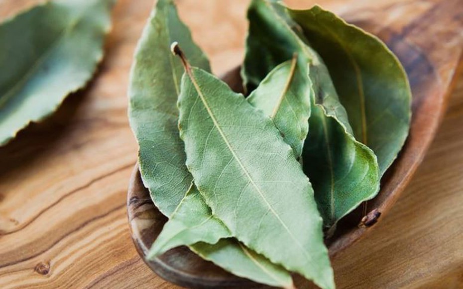 Loại lá ở Việt Nam nhiều người cho nhau miễn phí, ra nước ngoài giá 2 triệu đồng/kg