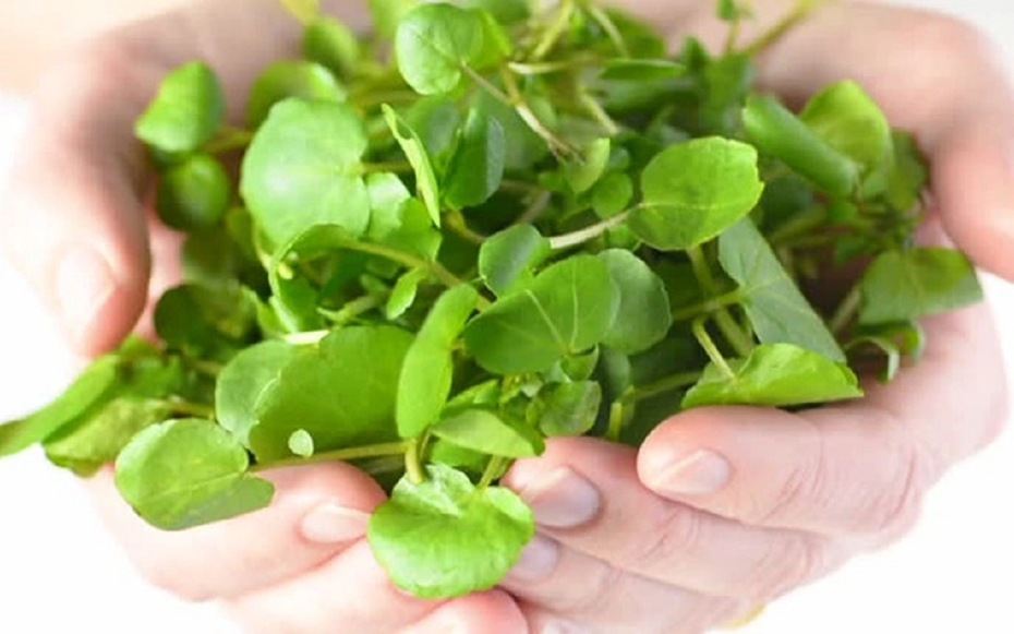 2 loại rau dễ là nơi "tổ ký sinh trùng" ẩn náu, nhất cái số 1 nhiều người mê tít