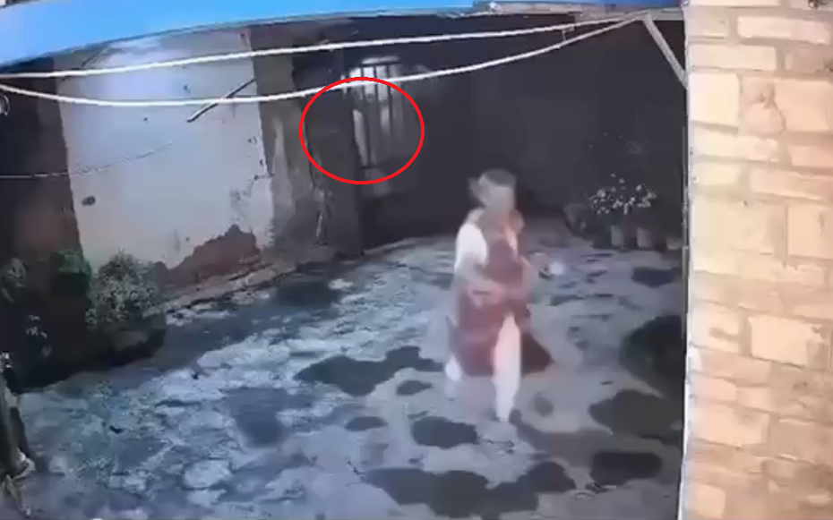 Đang đứng ngoài sân, cụ bà bất ngờ thấy cảnh tượng nổi da gà