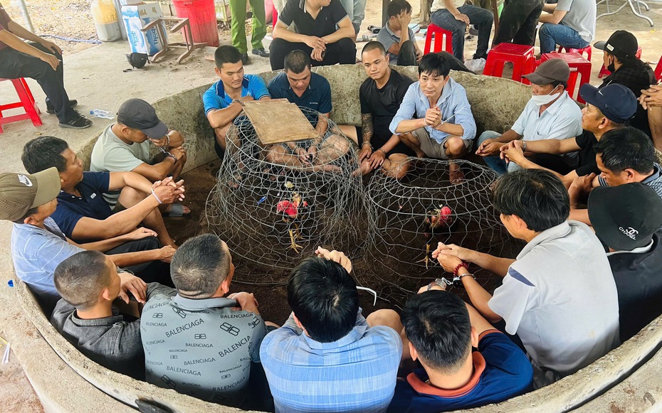 Quảng Ngãi: Triệt xóa điểm đá gà có 22 đối tượng đang sát phạt