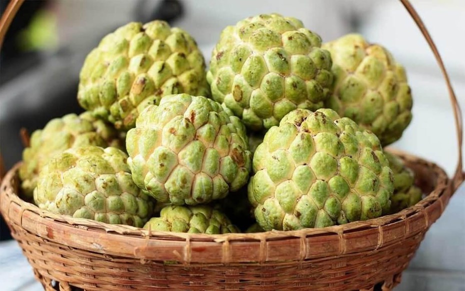 Quả na ngon nhưng có một phần "cực độc", biết mà tránh kẻo ngộ độc, mù mắt