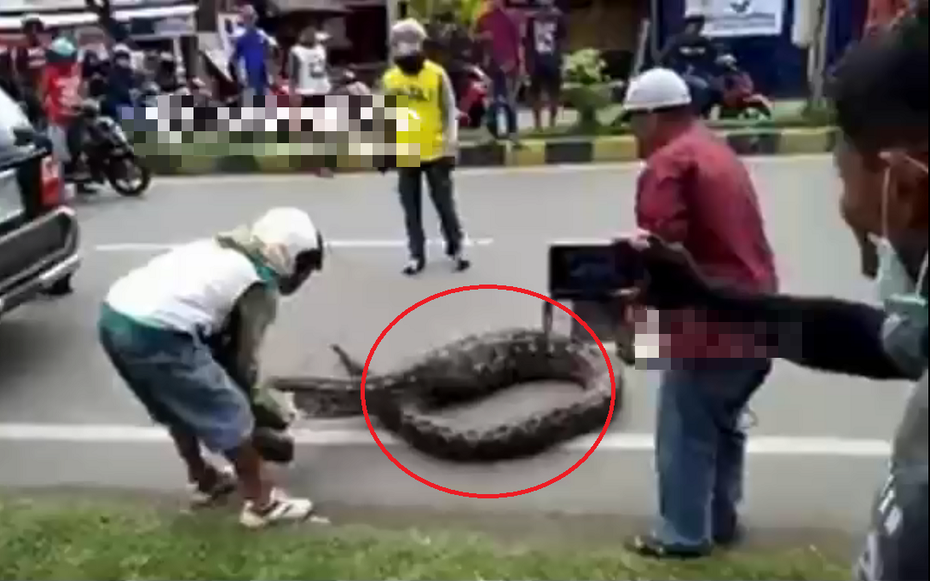 Đang đi bộ, người dân phát hiện cảnh tượng nổi da gà ngoài đường