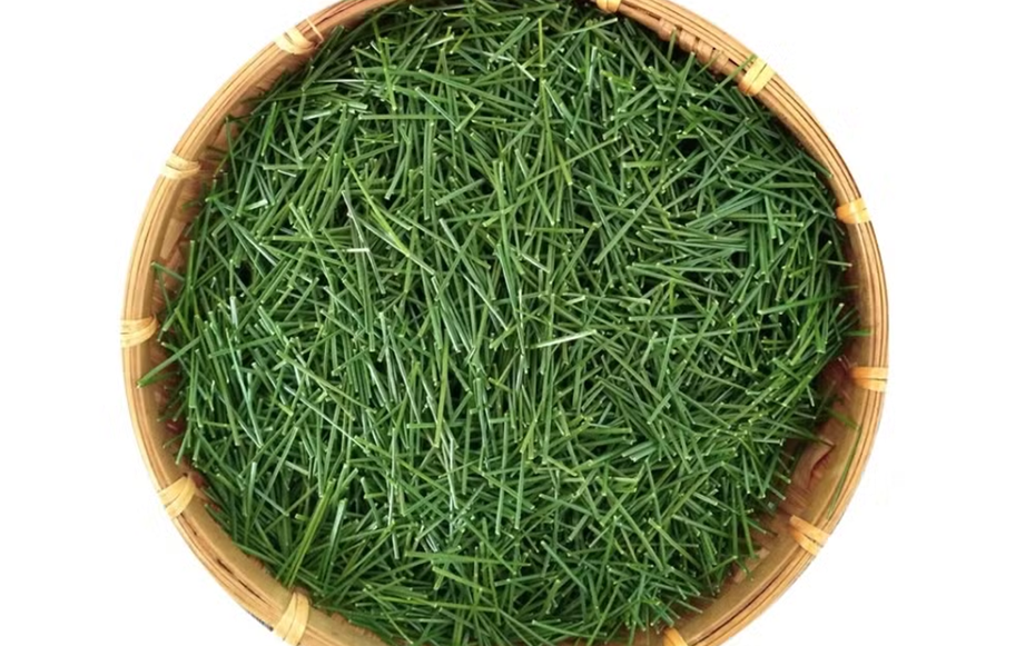 Loại lá dại ở nước ta "cho không ai lấy", nước ngoài gần nửa triệu/kg