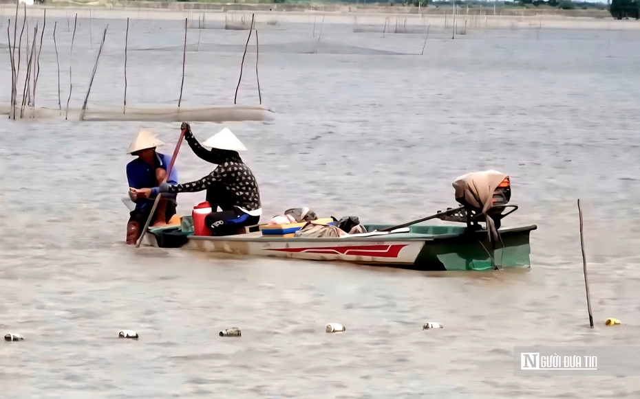 "Cần câu cơm" của nông dân miền Tây trên cánh đồng nước trắng
