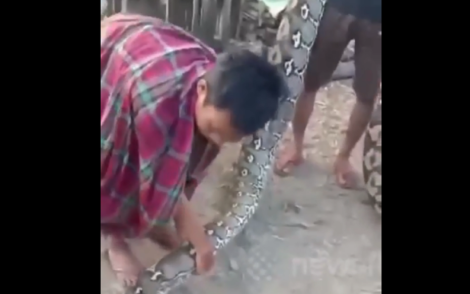 Nhìn ra đường, dân làng bắt gặp cảnh tượng nổi da gà