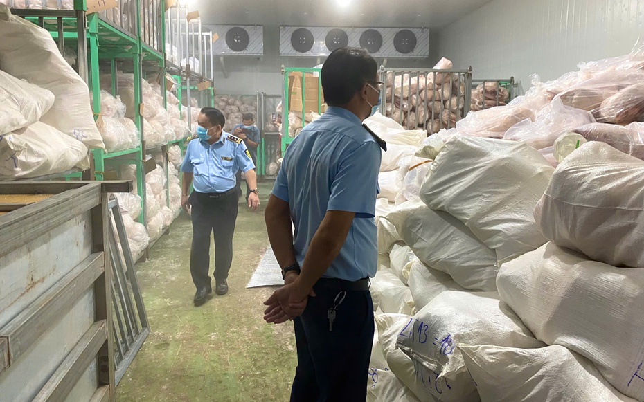 Tiêu hủy hơn 100 tấn thịt lợn bốc mùi hôi thối