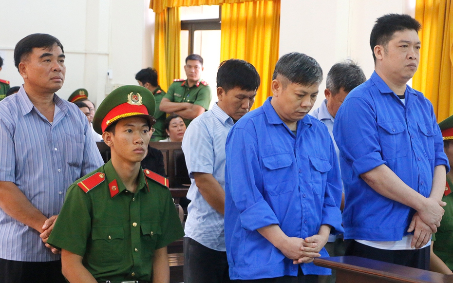 Tuyên án 5 bị cáo trong vụ sai phạm tại dự án Vườn quốc gia U Minh Thượng