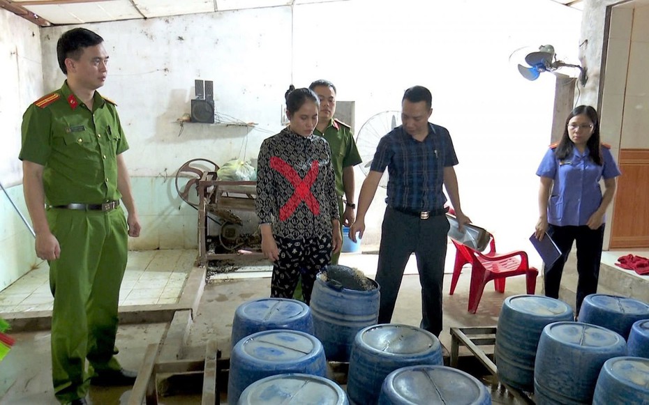 Khởi tố người phụ nữ dùng hóa chất sản xuất giá đỗ