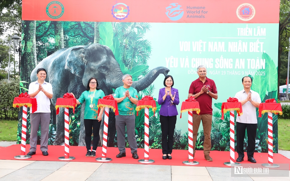 Gần 500 người tham gia "Nhảy vì sự tử tế với loài voi và các loài động vật hoang dã"